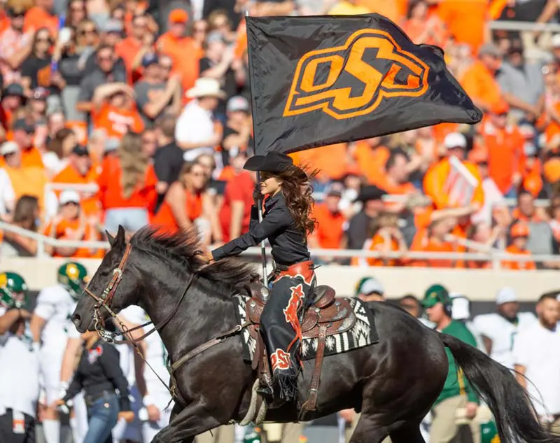 a woman riding a horse holding a flag